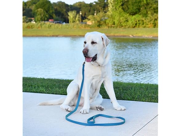 Dogline Biothane Waterproof Dog Leash