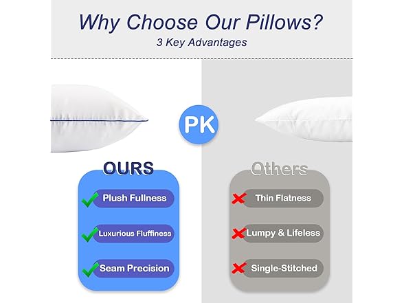 Pillow Insert Set of 2