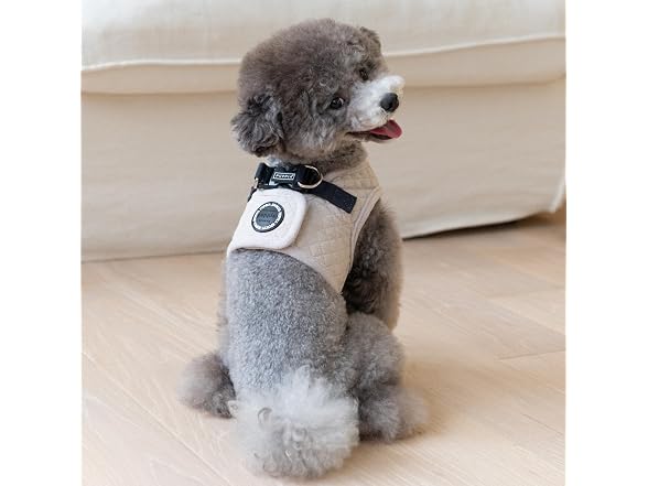 Puppia Irvin Vest Dog Harness Step-in