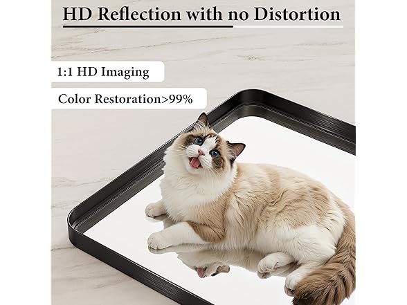 55"x30" Rectangle Batroom Mirror
