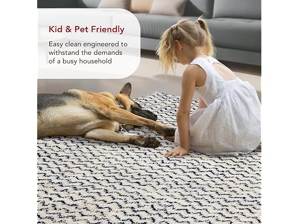 nuLOOM Cuellar Chevron Shag Rug 4x6