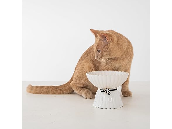 Dexypaws: Elevated Ceramic Bowl for Cats