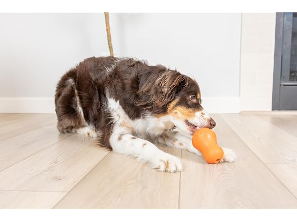 Chuckit! Tumble Teez Dog Treat Puzzle Toy, Medium