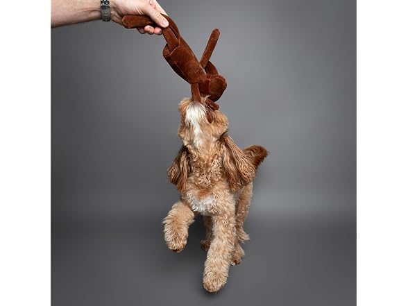 Noah & Paw Luxury dog toy basket set, Collection
