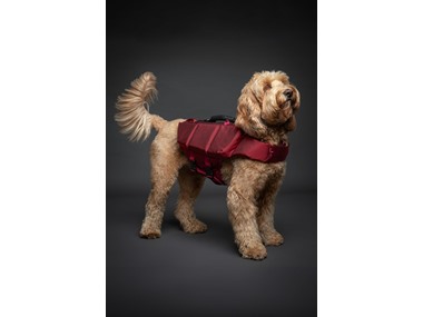 $24.99, Was $32.99, 24% Off! NOAH & PAW Dog Life Jackets dealfomo