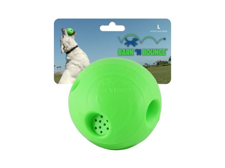 MISTIC COOL DSA-TJR-B09JBC5NM5 - Large - 2