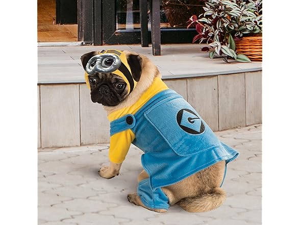 Despicable Me: Minion Pet Costume, M
