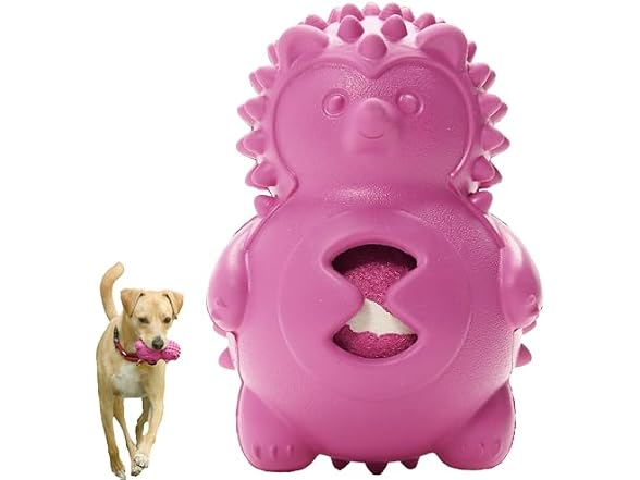 Friends Forever Squeaky Dog Toys with Tennis Ball