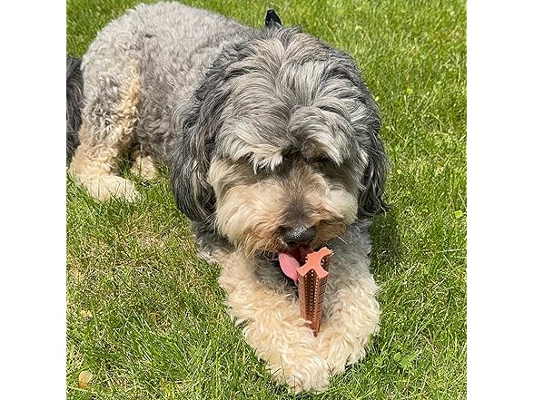 SPOT Bam-Bones Plus Coffee Wood T-Bone