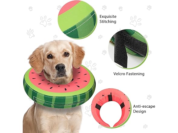 Small Soft Inflatable Dog Cone