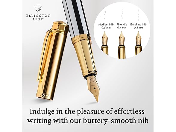 Luxury Fountain Pen Set