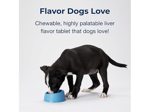 PetAg Sure Grow 100 - Promotes Optimal Bone Growth