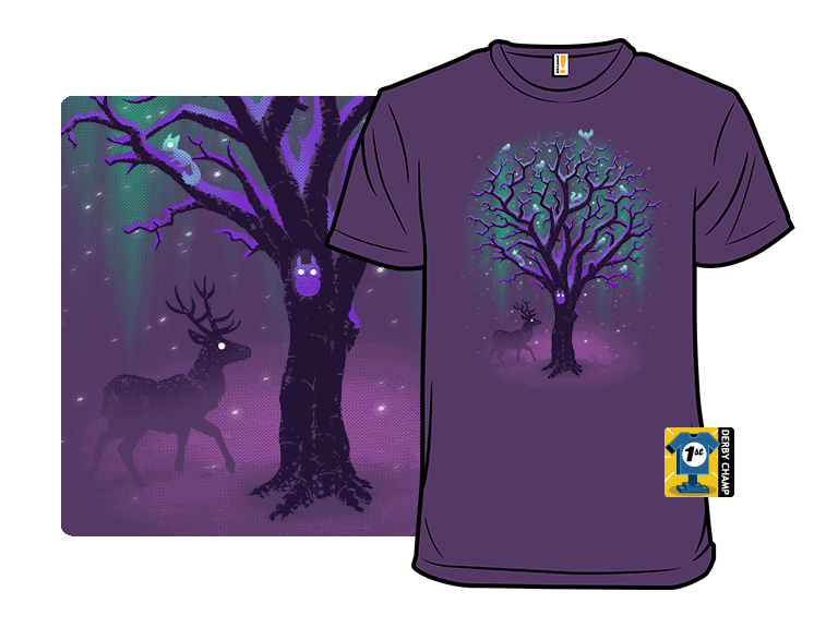 Under Northern Lights - Gallery 5