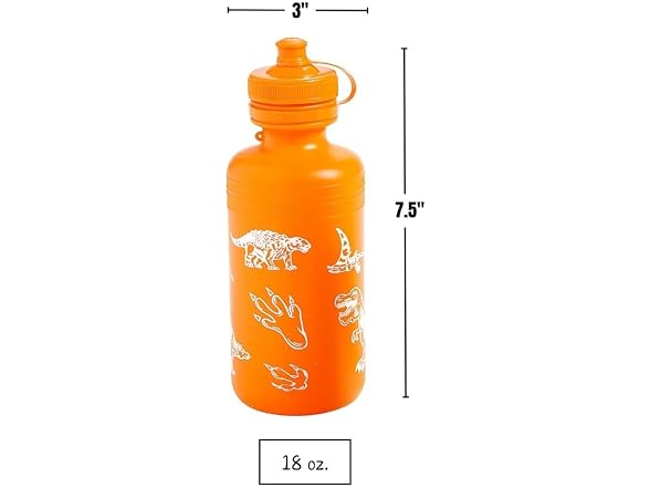 Dinosaur Plastic Water Bottles - 18 oz. (Pack of 12)