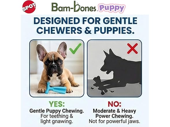 SPOT Bam-Bones Puppy T-Bone Dog Chew Toys, 2PK Blue