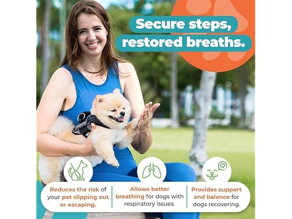 Joyride Summer Mesh No-Pull Dog Harness 2.0