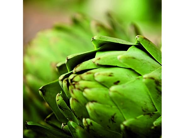 NEW NORDIC Active Liver 30ct