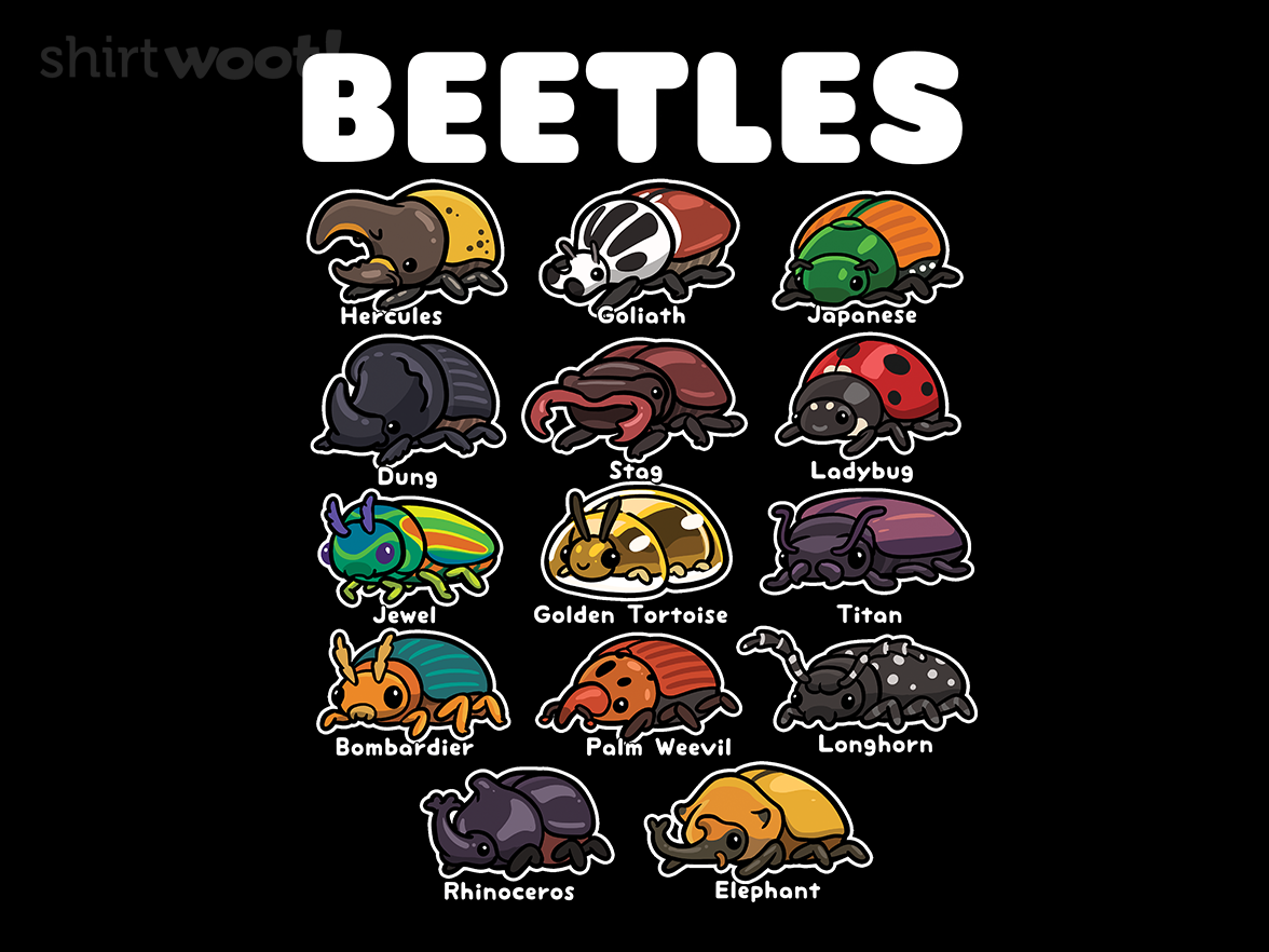 Beetles - Gallery 4