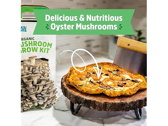 Back to the Roots Organic Mushroom Grow Kit 3-Pack