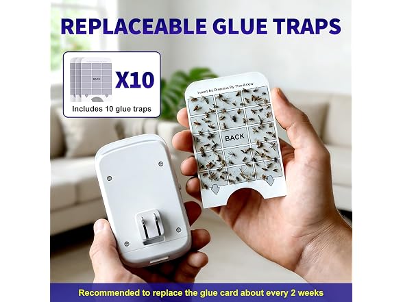 2-Pack Fruit Fly Traps UV+Glue 10 Boards
