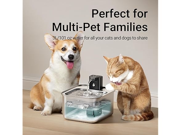 DownyPaws Stainless Steel Water Fountain