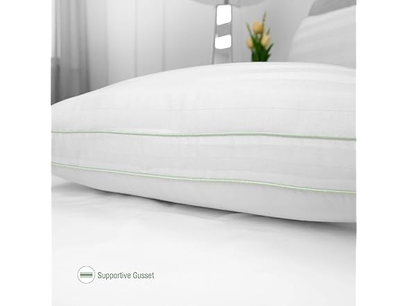 BioPEDIC 4Pk 300TC Plush Fiber Pillow