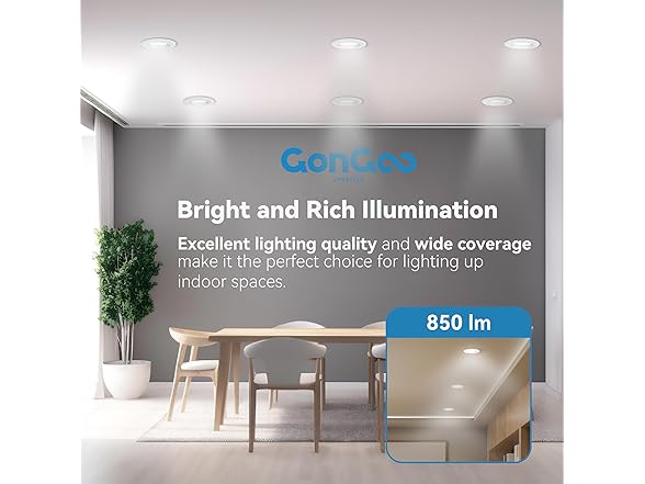 6 Pack LED Recessed Light