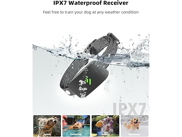 RUNLANE Dog Training Collar with Remote