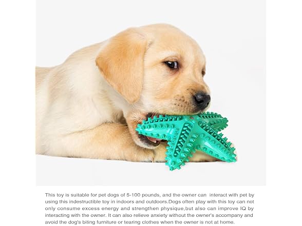 DotPet Dog Chew Toys for Aggressive Chewers, 