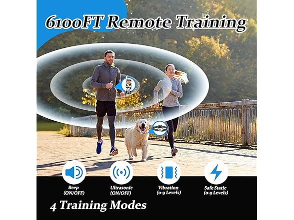 Wireless Dog Fence & Training Collar