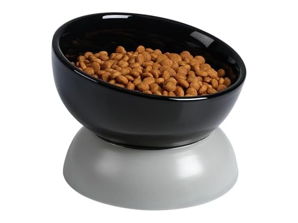 ABRUTY Cat Water Bowl, 16 OZ Ceramic Elevated