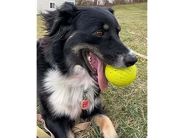Chew King Supreme Rubber Fetch Balls 2Pk