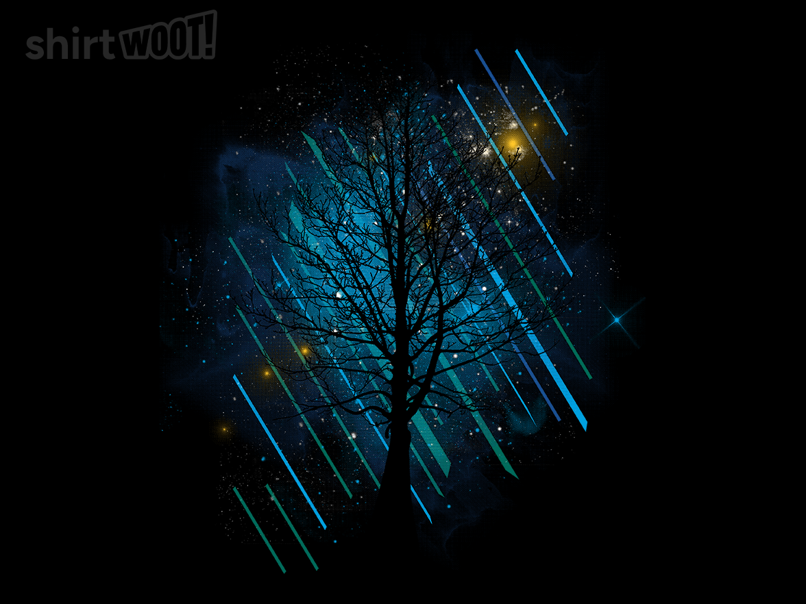 Northern Night - Gallery 9