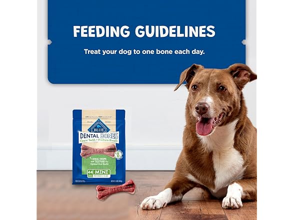 Blue Buffalo Dental Bones Mini Natural Dog Treats
