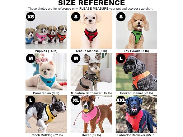 Puppia Soft Dog Harness