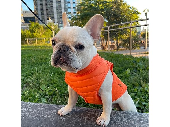 Gooby Puffer Vest Dog Jacket - Orange, Medium