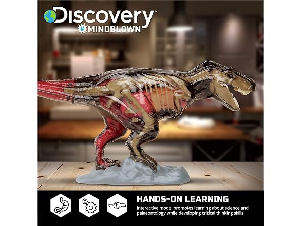 Discovery™ 4D T-Rex Anatomy Kit