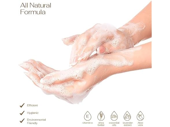 Foaming Hand Soap 10 Pack