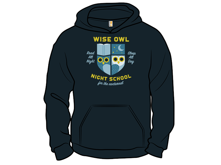 Wise Owl Night School