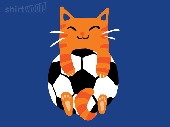 Soccer Kitty - Gallery 2