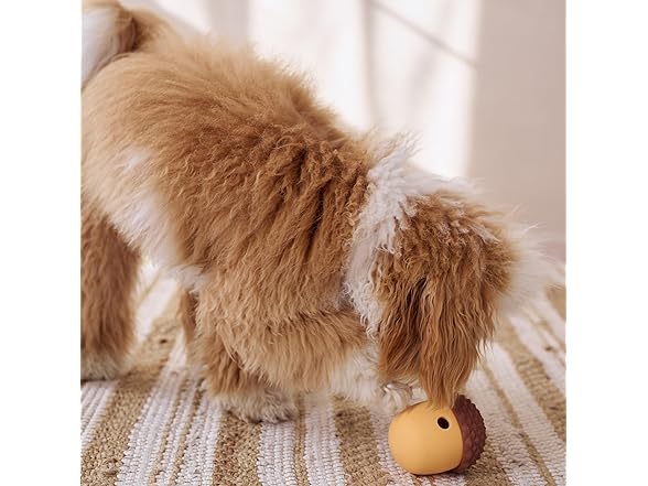 SPOT Treat Tumbler Acorn – Freezable & F