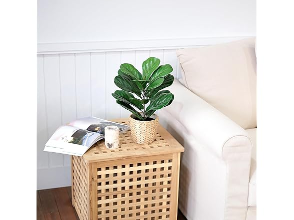 LuckyGreenery Artificial Small Fiddles