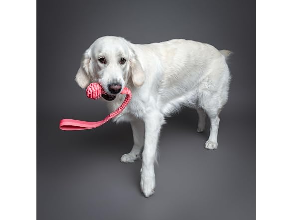 NOAH & PAW Luxury Dog Toy, Dog Rope Toy- Sling, Pink