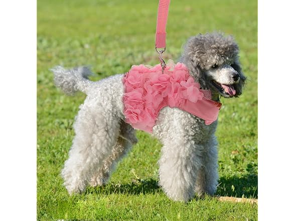 POPETPOP Dog Leash and Harness for Girls,Cut