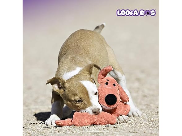 Multipet Original Loofa Dog Plush Toy
