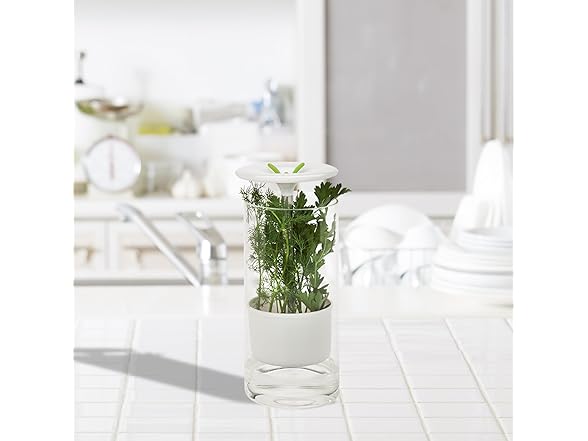 Honey-Can-Do Glass Herb Preserver