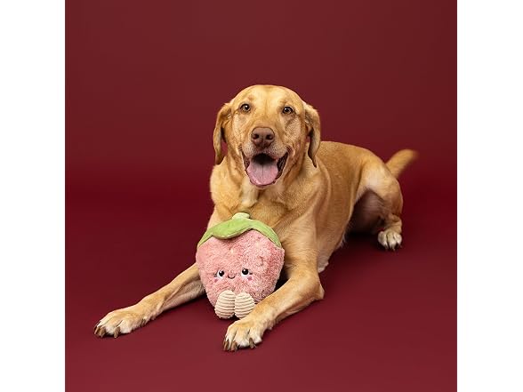 Fringe Studio You're My Jam Plush Dog Toy, Strawberry