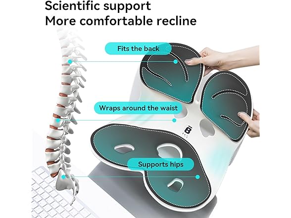 BKT Lumbar Support Seat Cushions