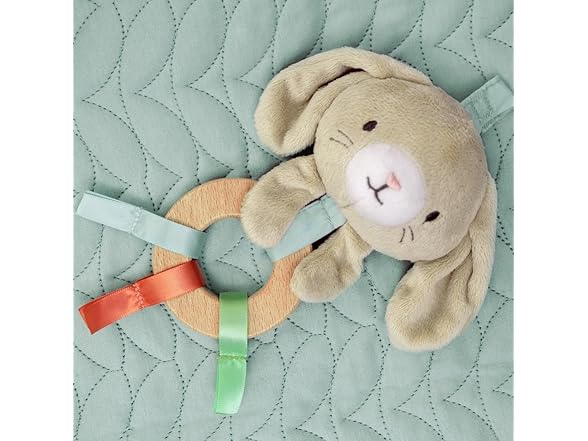 Ingenuity Calm Springs Plush Activity Gym