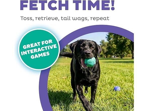 Outward Hound FlyFetch Rubber Fetch Ballz Dog Toy